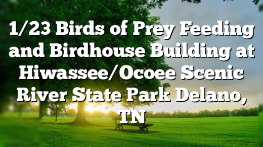 1/23 Birds of Prey Feeding and Birdhouse Building at Hiwassee/Ocoee Scenic River State Park Delano, TN