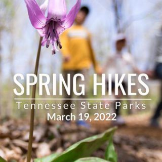 3/19 2022 Spring Hike Ocoee Ocoee Whitewater Center Copperhill, TN