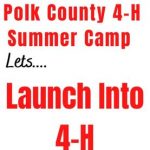 4-H Summer Camp Application Available NOW Polk, TN