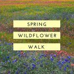 4/4 Wildflower Walk Hiwassee/Ocoee State Park