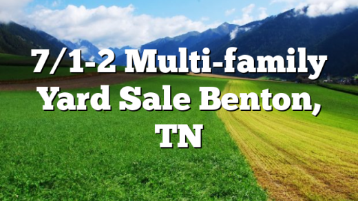 7/1-2 Multi-family Yard Sale Benton, TN