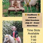 7/15 Gid-E-Up Farm Sunflower Unicorn Mini Sessions Ocoee River Maze