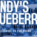 7/1 Polk Homeschoolers U-Pick Blueberry Fieldtrip Benton, TN