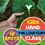 7/8 Kid’s Hand Pollination Class Polk County, TN