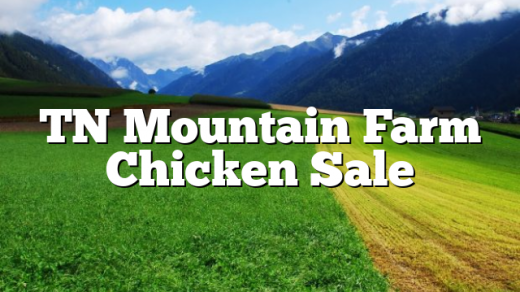 TN Mountain Farm Chicken Sale