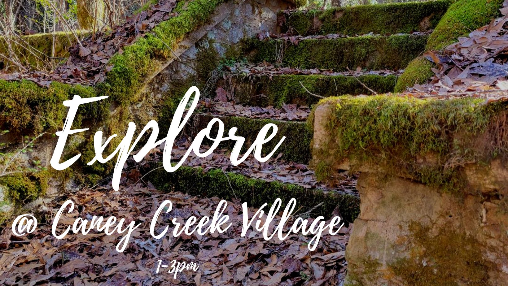 11/13 Discover the Caney Creek Village Polk County Tennessee EVENTS