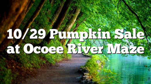 10/29 Pumpkin Sale at Ocoee River Maze