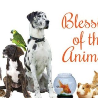 11/6 Blessing of the Animals Benton, TN