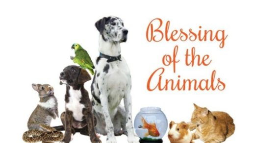 11/6 Blessing of the Animals Benton, TN