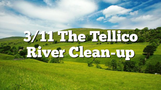 3/11 The Tellico River Clean-up