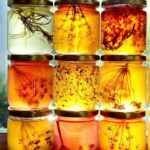 1/17 ORBA Ocoee Region Beekeepers Association Meeting