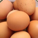 Joe Hatcher Farm Fresh Eggs For Sale Benton, TN