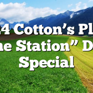 2/24 Cotton’s Place “The Station” DELI Special