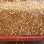 New Load of Straw FOR SALE Benton, TN