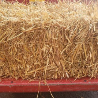 Straw Bales For Sale Polk County, TN