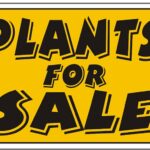 4/21 One Day PLANT Sale at PCHS