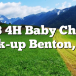 4/13 4H Baby Chicks Pick-up Benton, TN