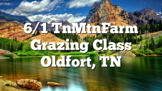 6/1 TnMtnFarm Grazing Class Oldfort, TN
