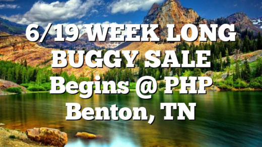 6/19 WEEK LONG BUGGY SALE Begins @ PHP Benton, TN