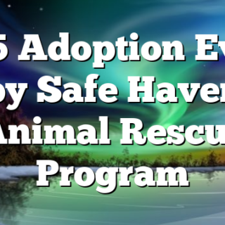 7/15 Adoption Event by Safe Haven Animal Rescue Program