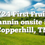 7/24 First Fruits Fannin onsite in Copperhill, TN