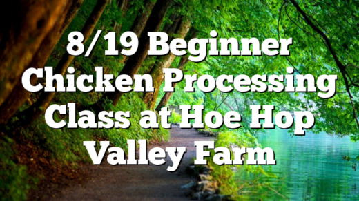 8/19 Beginner Chicken Processing Class at Hoe Hop Valley Farm