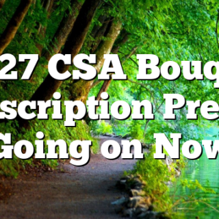 10/27 CSA Bouquet Subscription Presale Going on Now