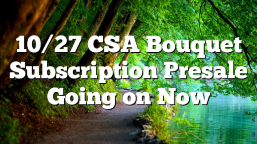 10/27 CSA Bouquet Subscription Presale Going on Now