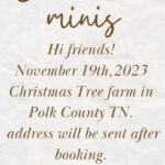 11/19 Amber G Photography Christmas Mini Sessions