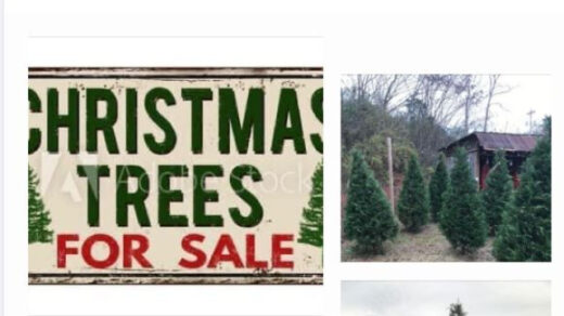 11/24 Cotton’s Place “The Station” Christmas Tree Lot Open