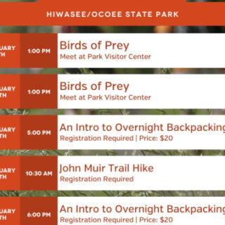 2/12 Birds of Prey Hiwassee/Ocoee State Park