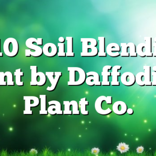 3/10 Soil Blending Event by Daffodillys Plant Co.