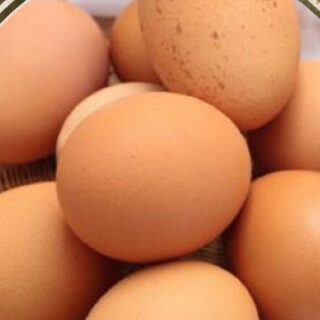 Local Fertilized Chick Eggs Wanted Polk County FFA