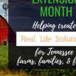 3/4 Business After Hours at the Polk County UT/TSU Extension Office