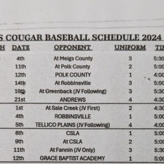 4/15 Copper Basin High School Baseball Game