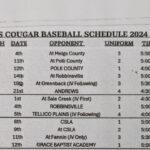 4/18 Copper Basin High School Baseball Game