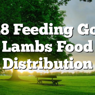 5/28 Feeding God’s Lambs Food Distribution