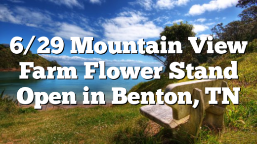 6/29 Mountain View Farm Flower Stand Open in Benton, TN