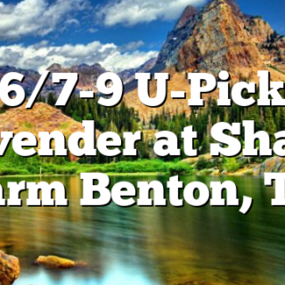 6/7-9 U-Pick Lavender at Shabo Farm Benton, TN