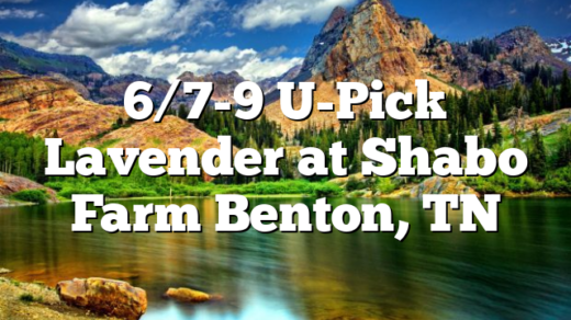 6/7-9 U-Pick Lavender at Shabo Farm Benton, TN