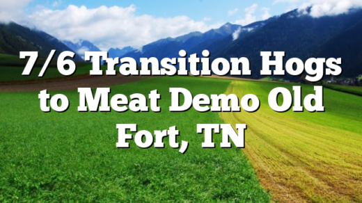 7/6 Transition Hogs to Meat Demo Old Fort, TN