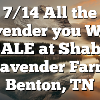 7/14 All the Lavender you Want SALE at Shabo Lavender Farm Benton, TN