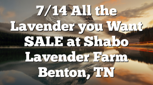 7/14 All the Lavender you Want SALE at Shabo Lavender Farm Benton, TN