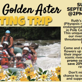 9/8 Ruth’s Golden Aster Rafting Trip