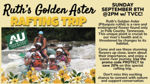 9/8 Ruth’s Golden Aster Rafting Trip