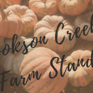 9/14 Cookson Creek Farm Stand Ocoee, TN