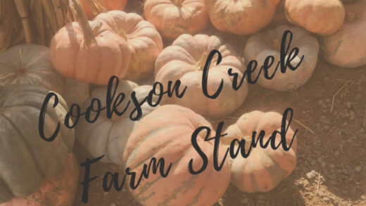 9/14 Cookson Creek Farm Stand Ocoee, TN