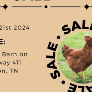 9/21 4H Poultry Show and Sale Benton, TN