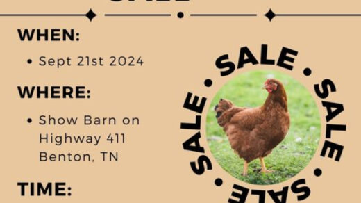 9/21 4H Poultry Show and Sale Benton, TN