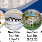 3/25 Adult Craft Club East Polk